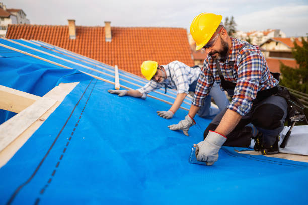 Best Flat Roof Repair Services  in Reedsville, WI
